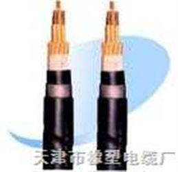 RVZ與RVZ電力電纜 規(guī)格、特點與應(yīng)用全解析