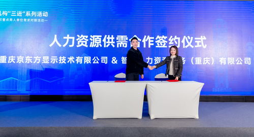 渝中區(qū)舉辦優(yōu)質(zhì)人力資源服務(wù)推介與重點(diǎn)單位需求對(duì)接活動(dòng)，譜寫(xiě)產(chǎn)業(yè)發(fā)展新篇章